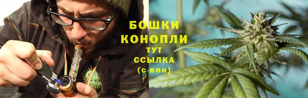Альфа ПВП Няндома