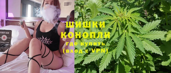 Альфа ПВП Няндома