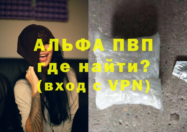 Альфа ПВП Няндома