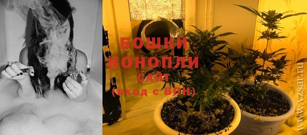 Альфа ПВП Няндома