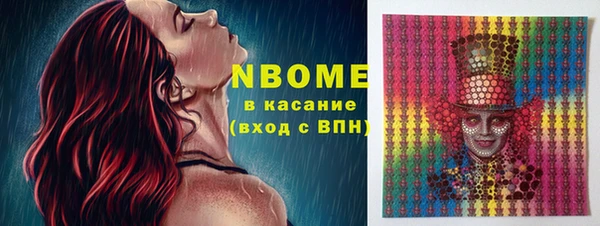 Альфа ПВП Няндома