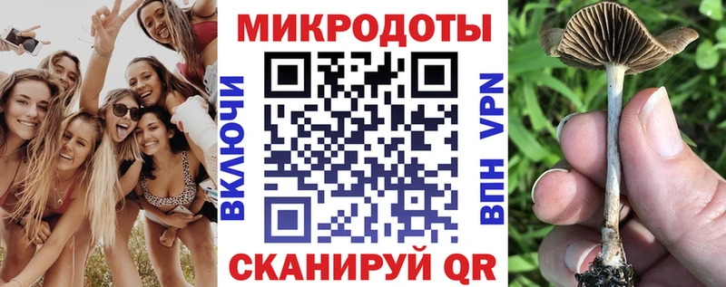 Галлюциногенные грибы прущие грибы Новотитаровская